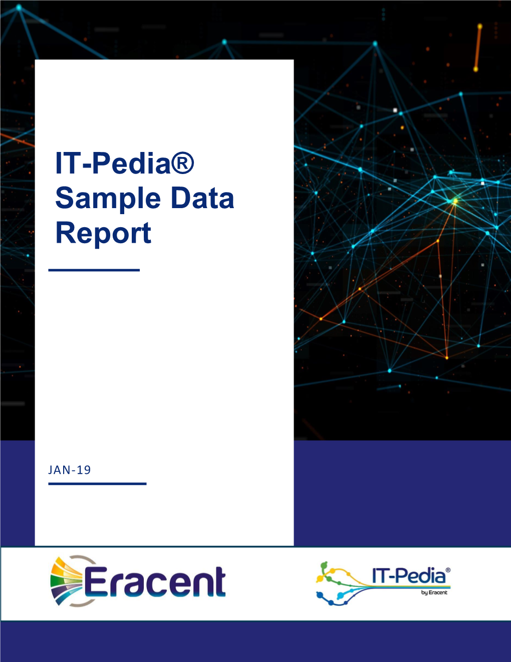 IT-Pedia® Sample Data Report