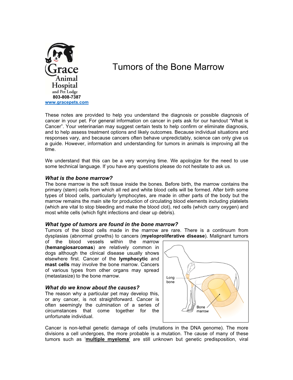 Tumors of the Bone Marrow