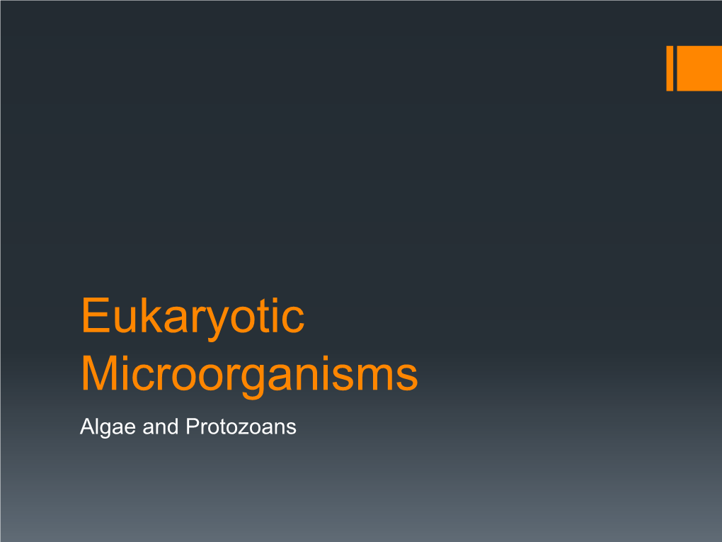 Eukaryotic Microorganisms Algae and Protozoans 2