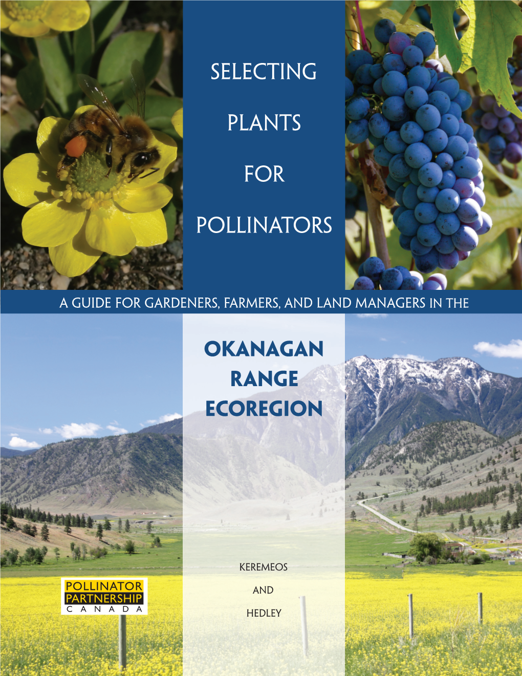 Okanagan Range Ecoregion