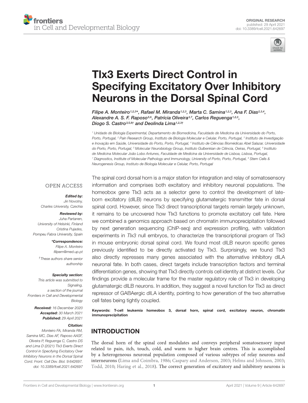 Tlx3 Exerts Direct Control in Specifying Excitatory Over Inhibitory Neurons in the Dorsal Spinal Cord