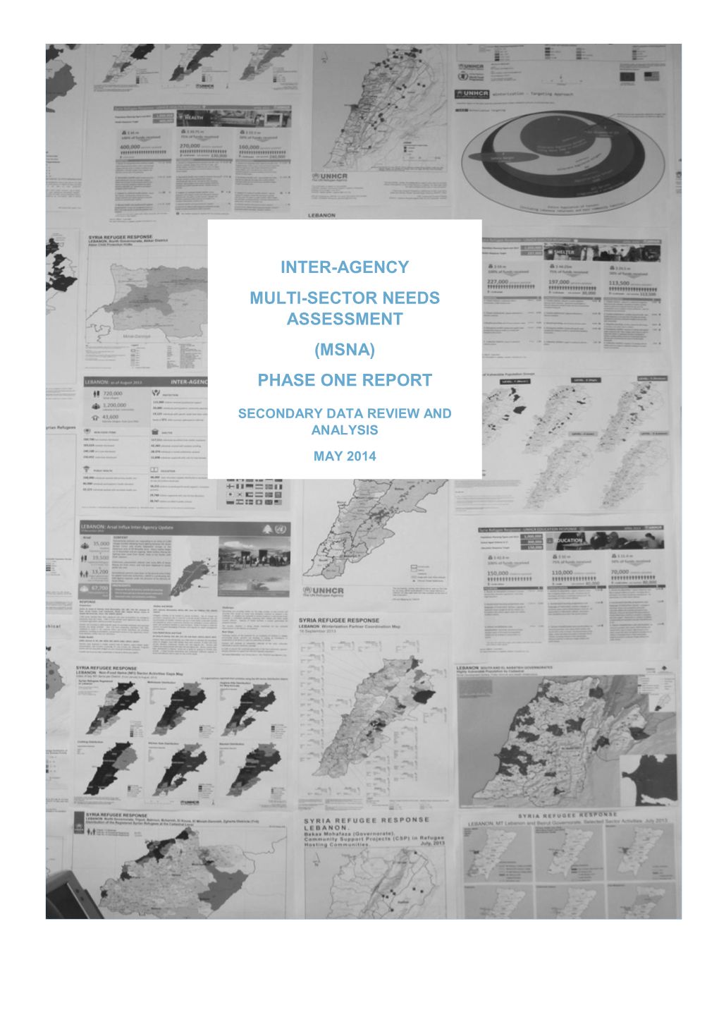 Msna) Phase One Report