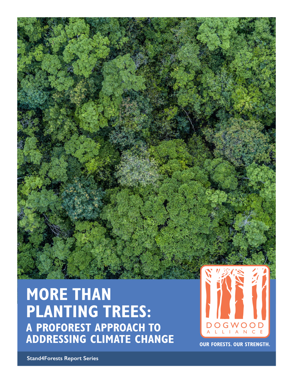 Than Planting Trees: a Proforest Approach to Addressing Climate Change