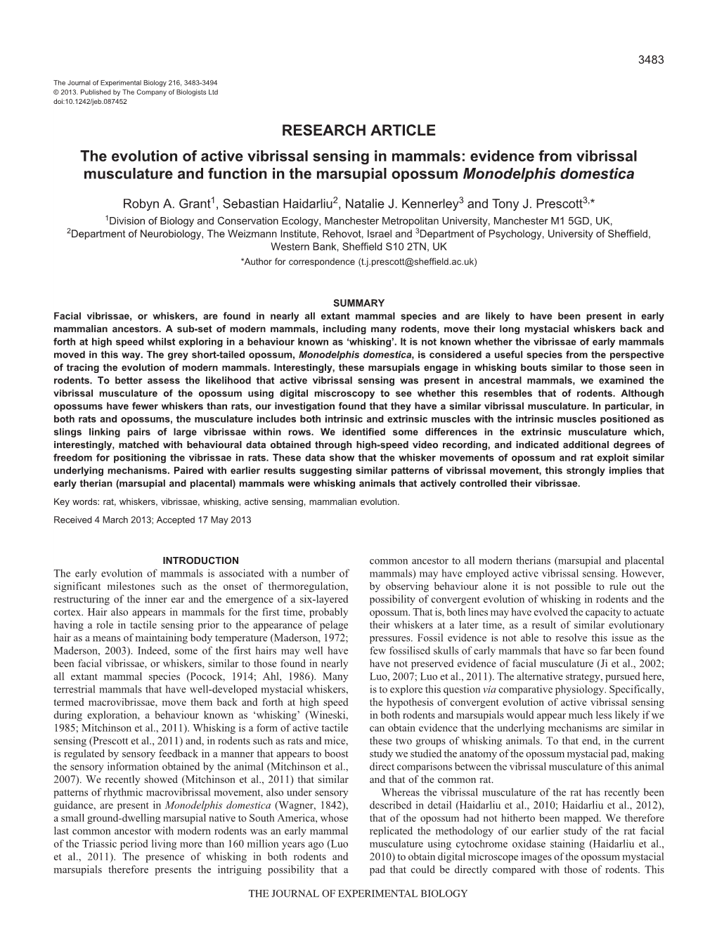 Evidence from Vibrissal Musculature and Function in the Marsupial Opossum Monodelphis Domestica