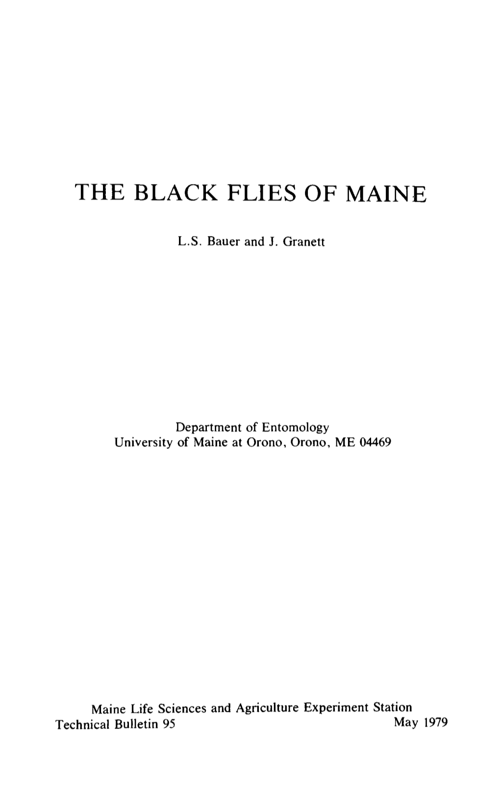 The Black Flies of Maine