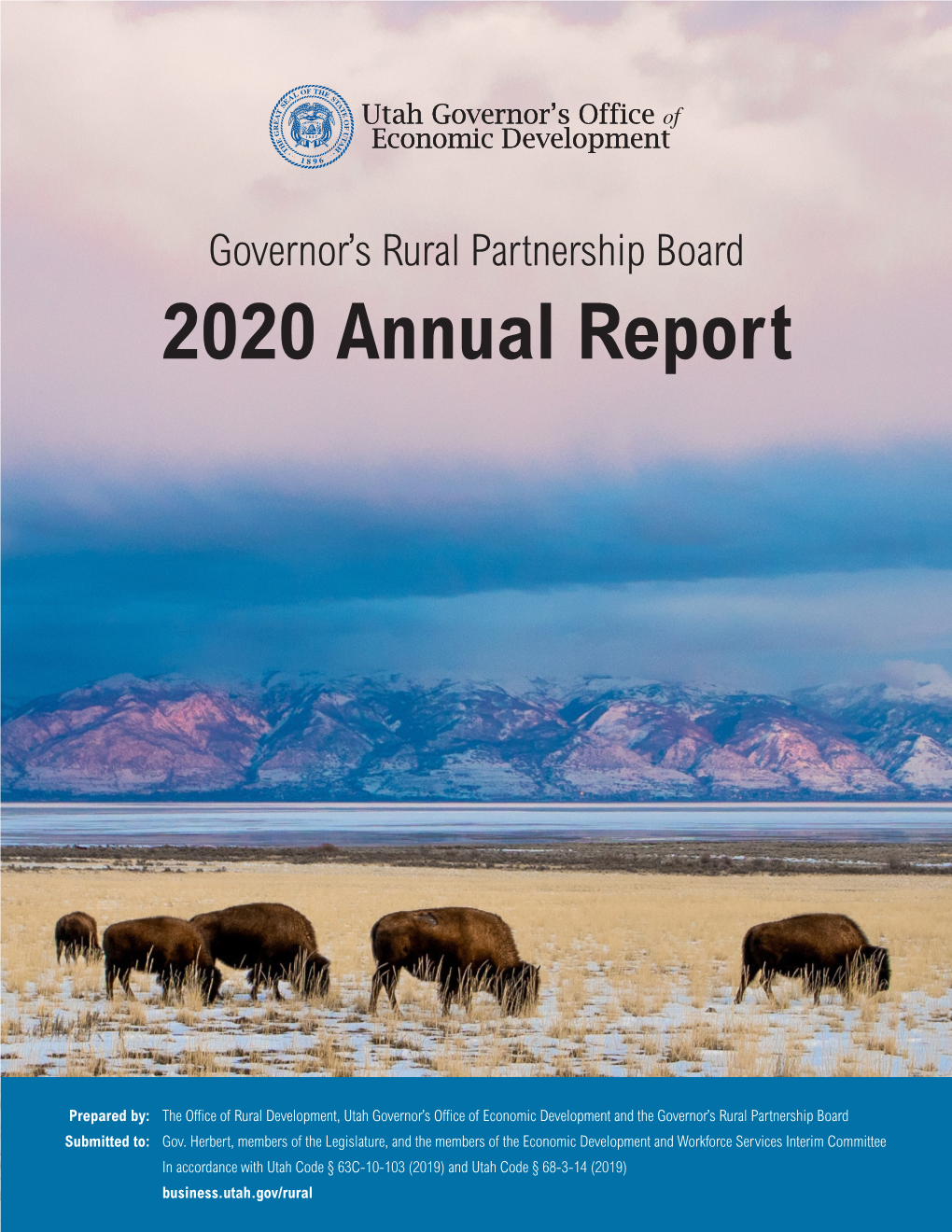 2020 Annual Report