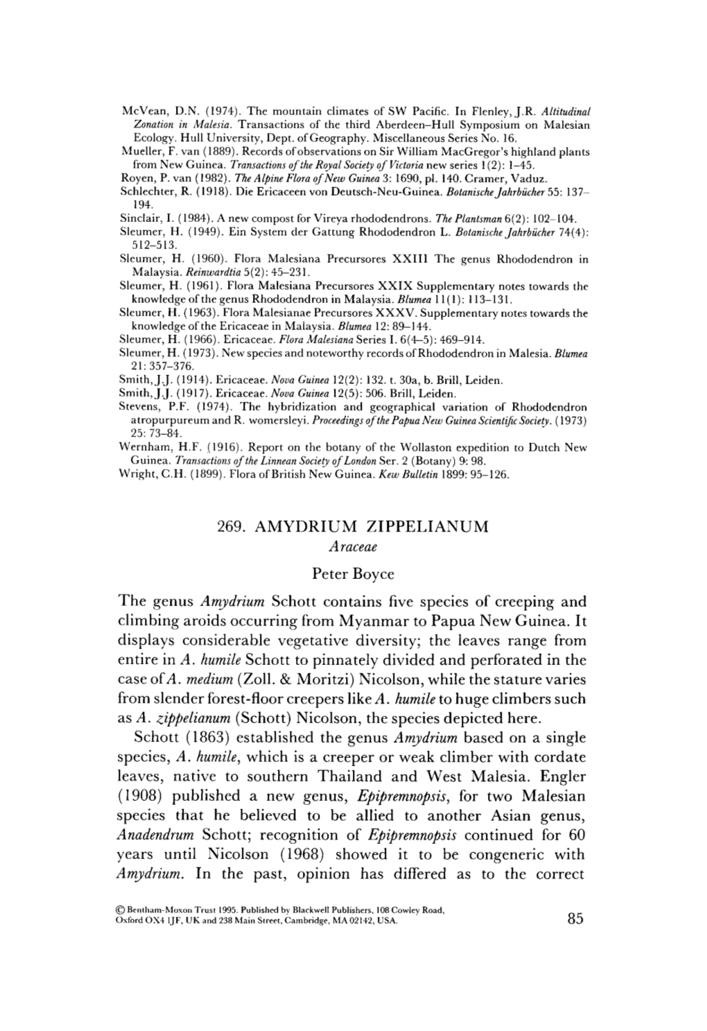 AMYDRIUM ZIPPELIANUM Araceae Peter Boyce the Genus Amydrium Schott Contains Five Species of Creeping and Climbing Aroids Occurring from Myanmar to Papua New Guinea