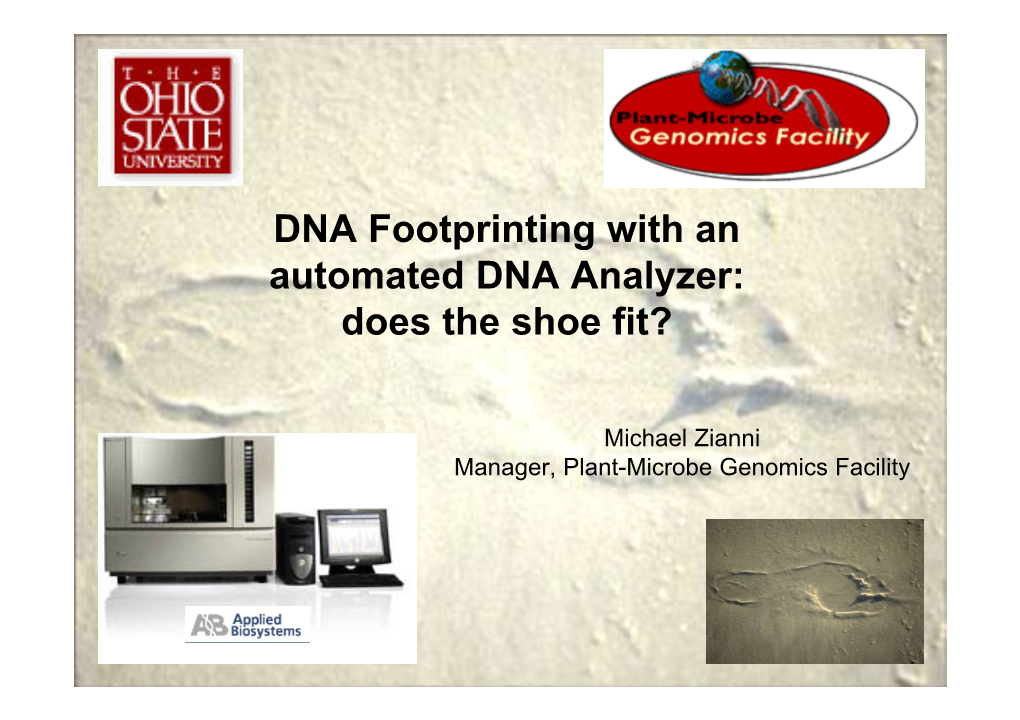 DNA Footprinting with an Automated DNA Analyzer: Does the Shoe Fit?