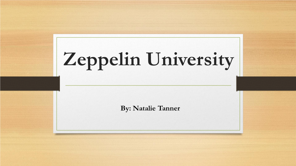 Zeppelin University