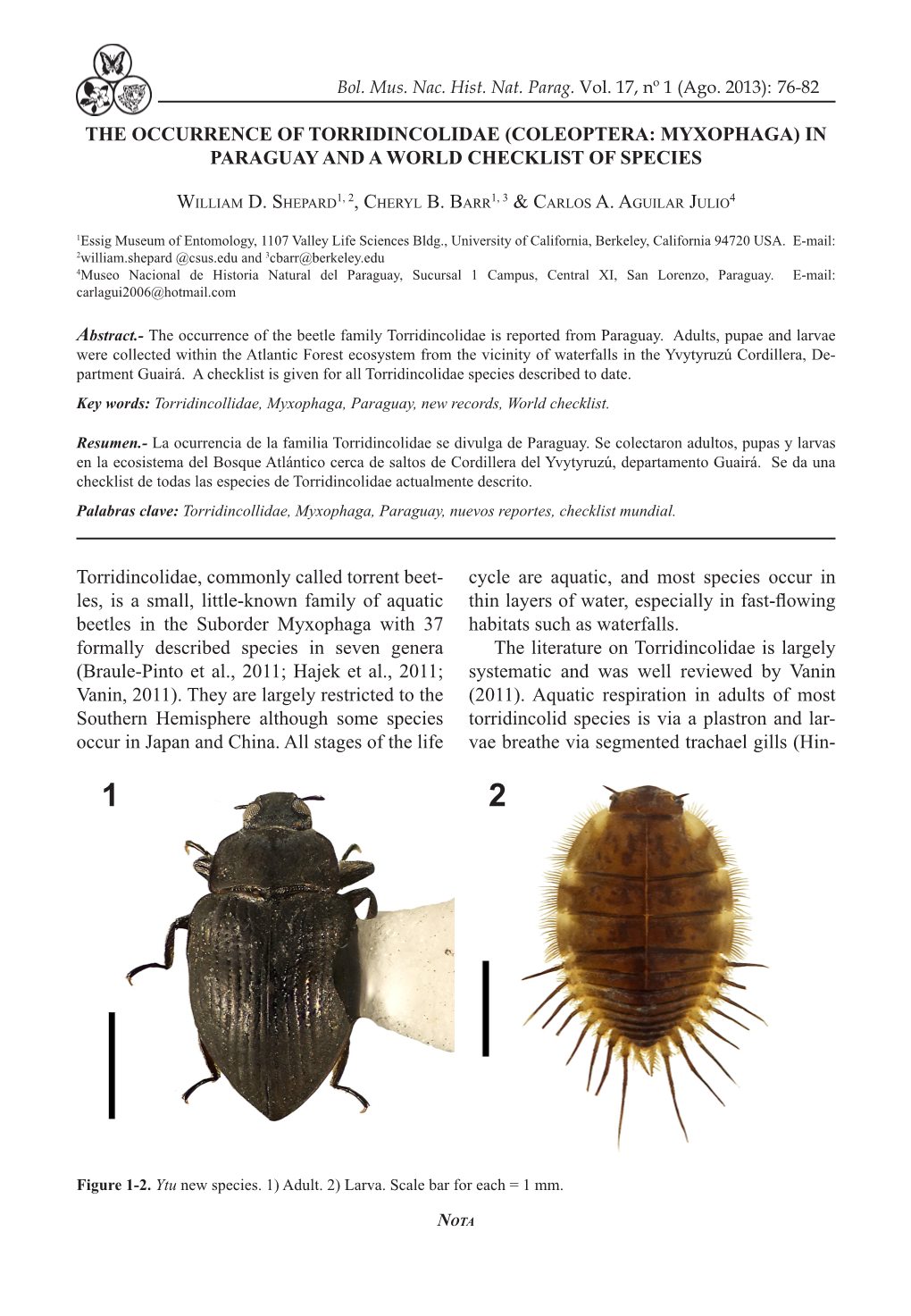 Coleoptera: Myxophaga) in Paraguay and a World Checklist of Species
