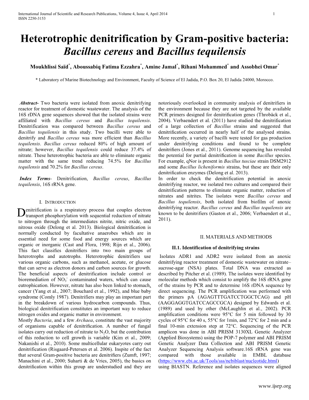 Heterotrophic Denitrification by Gram-Positive Bacteria: Bacillus Cereus and Bacillus Tequilensis