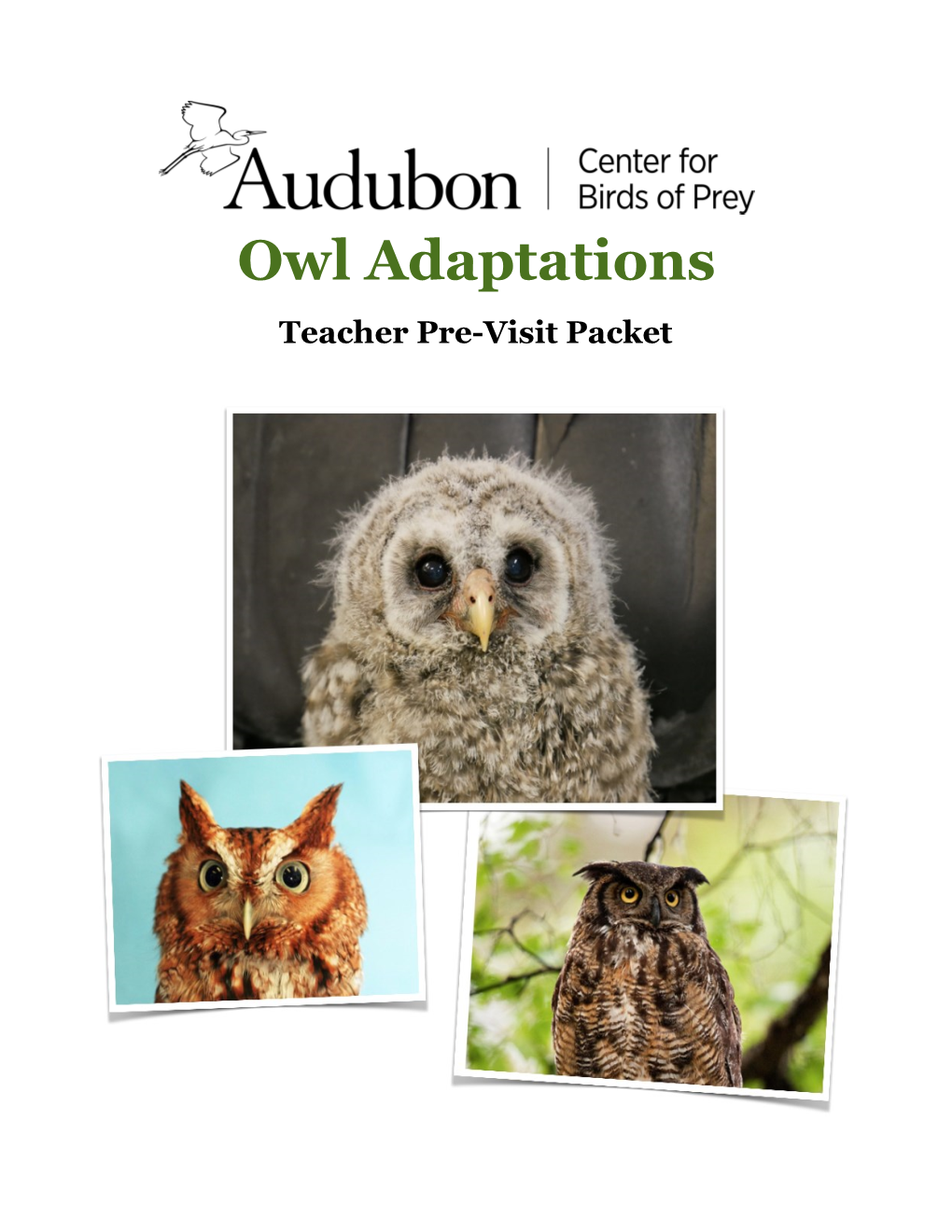 Owl Adaptations Teacher Pre-Visit Packet Welcome!