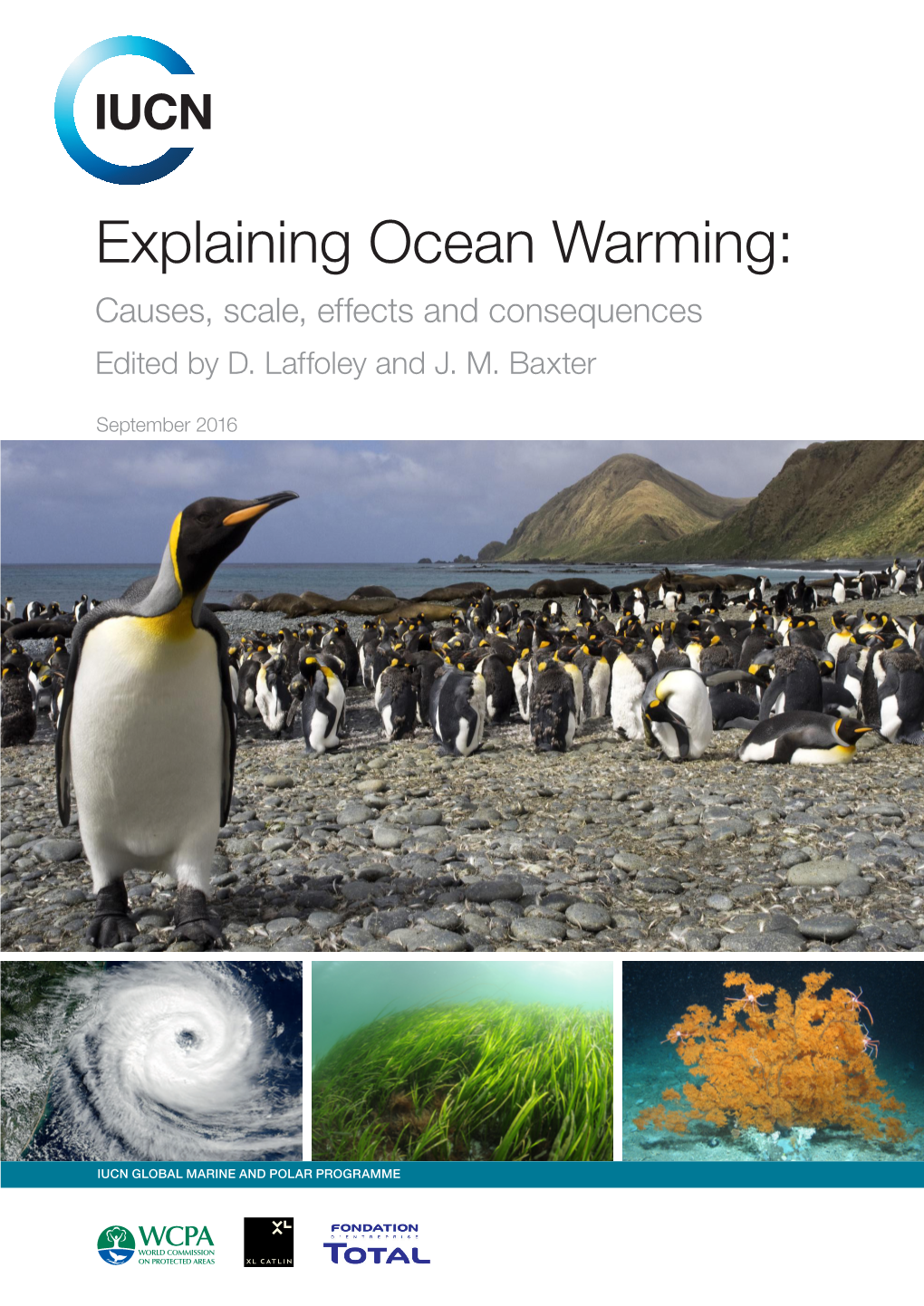 Explaining Ocean Warming: Causes, Scale, Effects and Consequences Edited by D