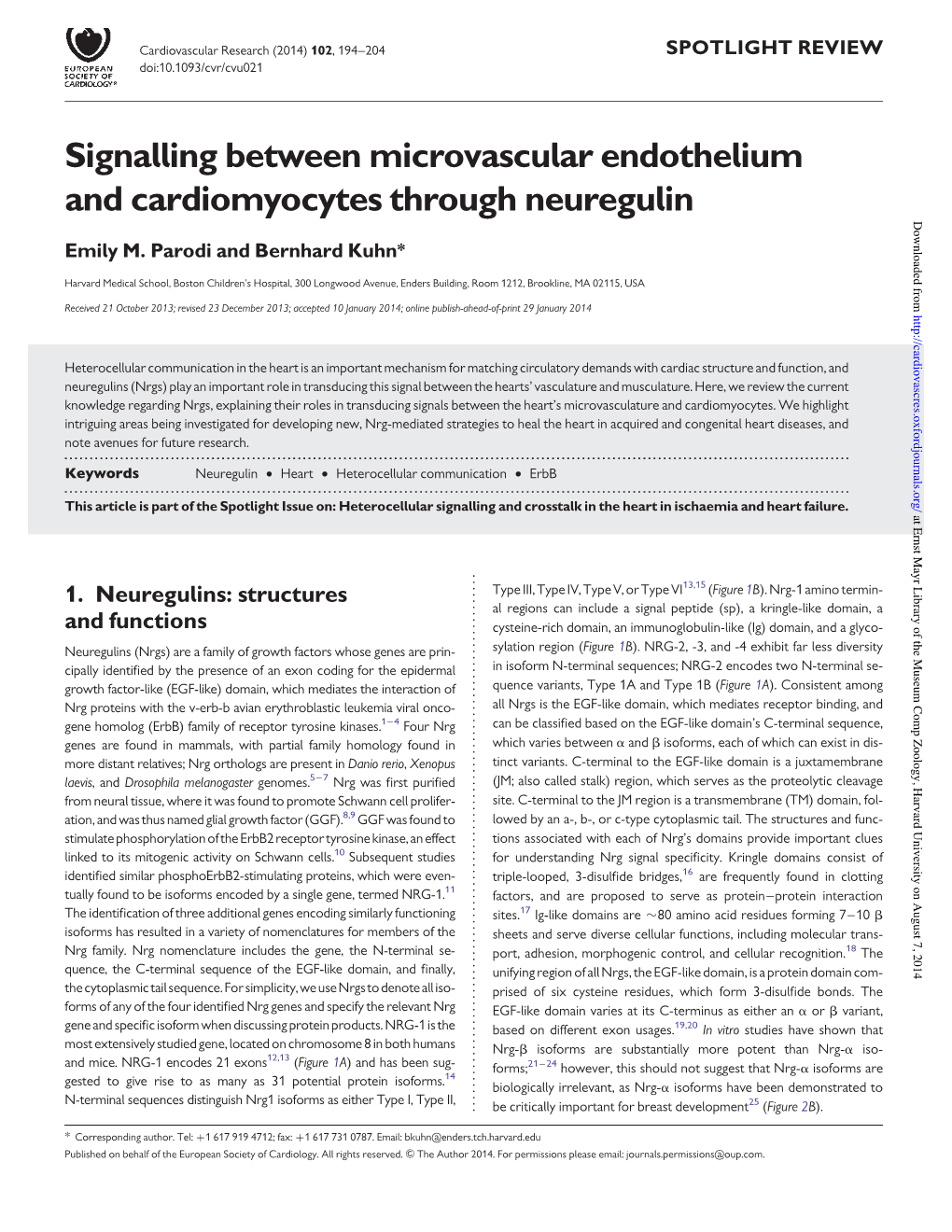 Signalling Between Microvascular Endothelium and Cardiomyocytes Through Neuregulin Downloaded From