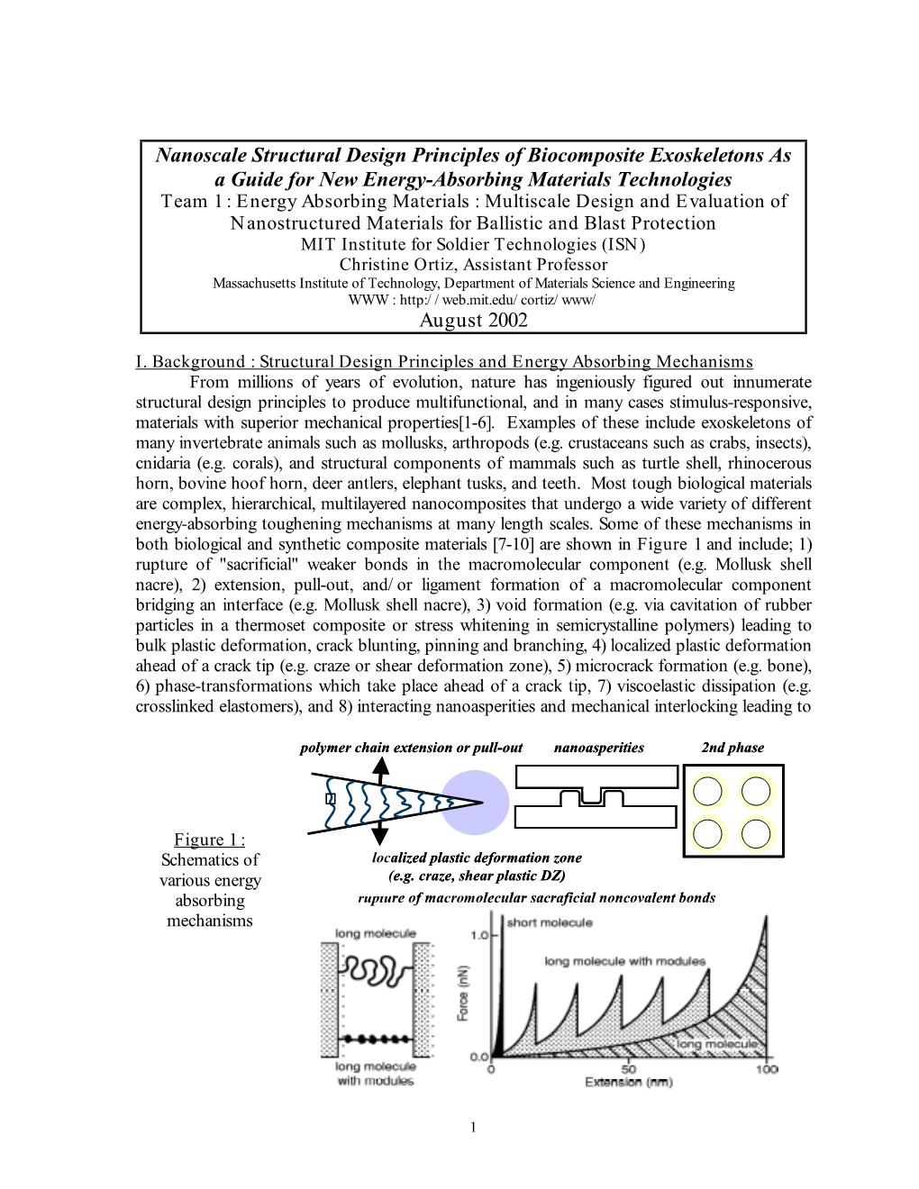 Research Interests Related to the Cambridge-MIT Institute