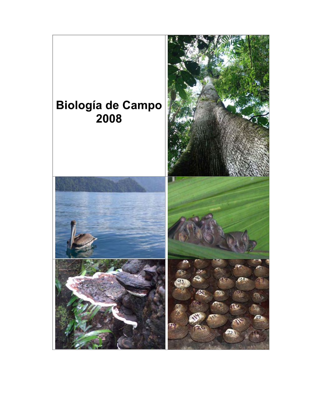 Biología De Campo 2008
