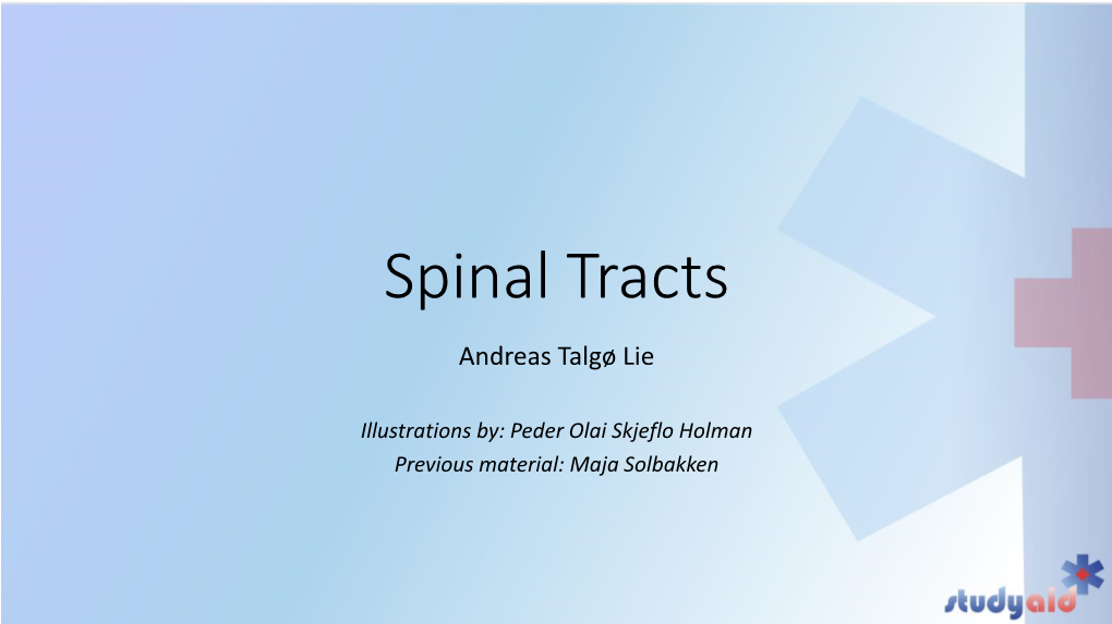 Spinal Tracts.Pdf