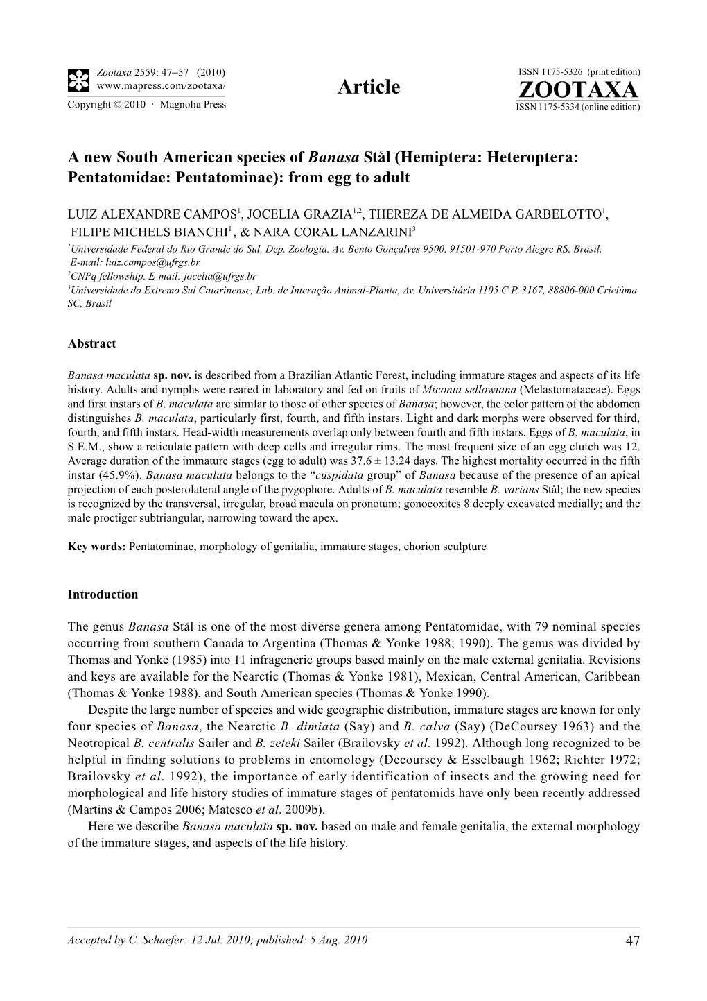 Zootaxa, a New South American Species of Banasa Stål (Hemiptera