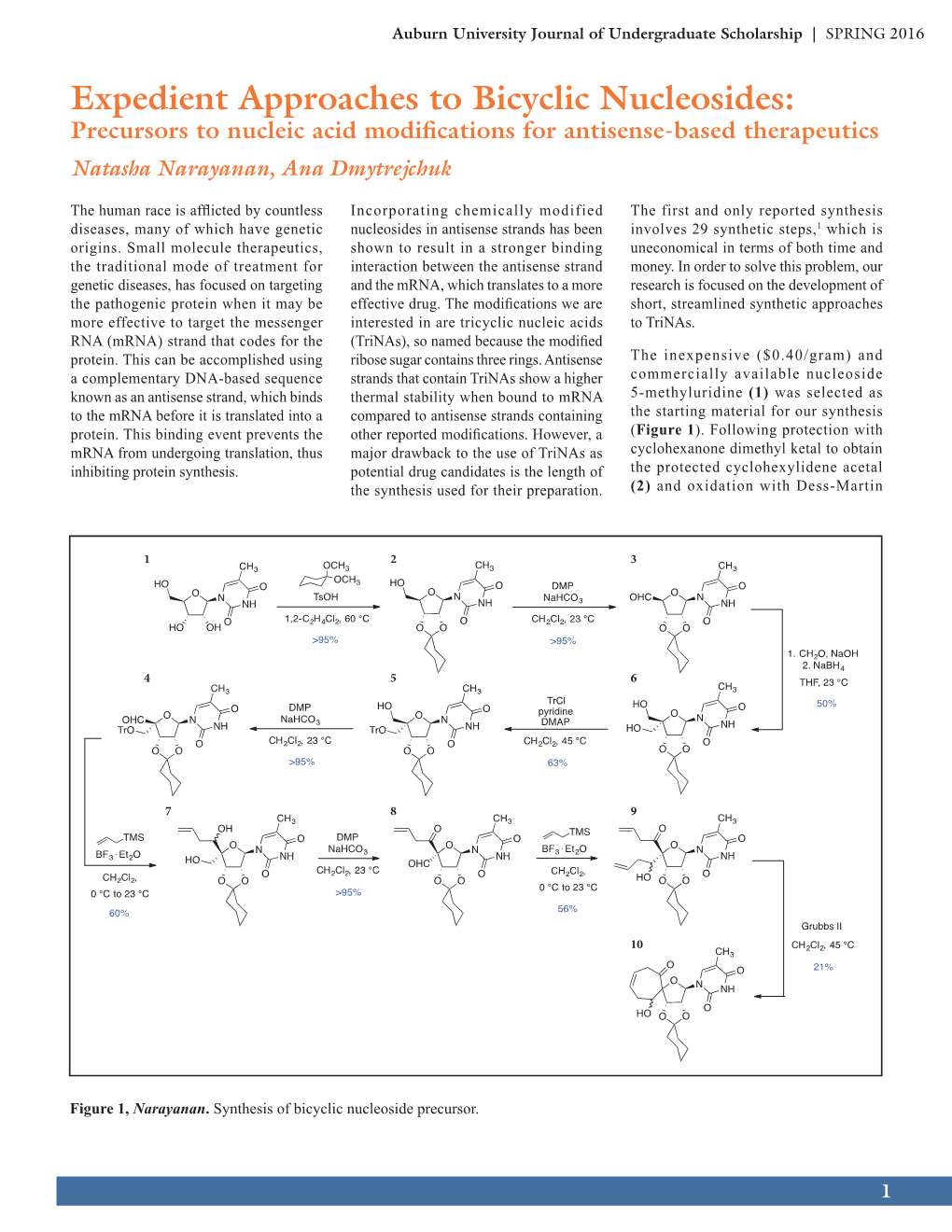 Expedient Approaches to Bicyclic Nucleosides: Precursors to Nucleic Acid Modifications for Antisense-Based Therapeutics Natasha Narayanan, Ana Dmytrejchuk