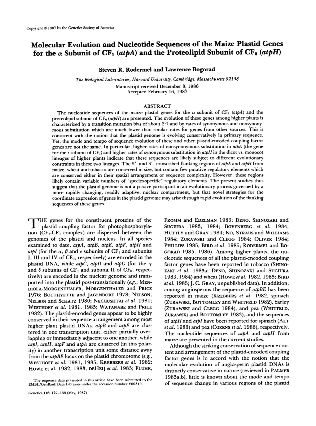 Molecular Evolution and Nucleotide Sequences of the Maize Plastid Genes for the Cy Subunit of CFI (Atpa)And the Proteolipid Subunit of Cfo (Atph)