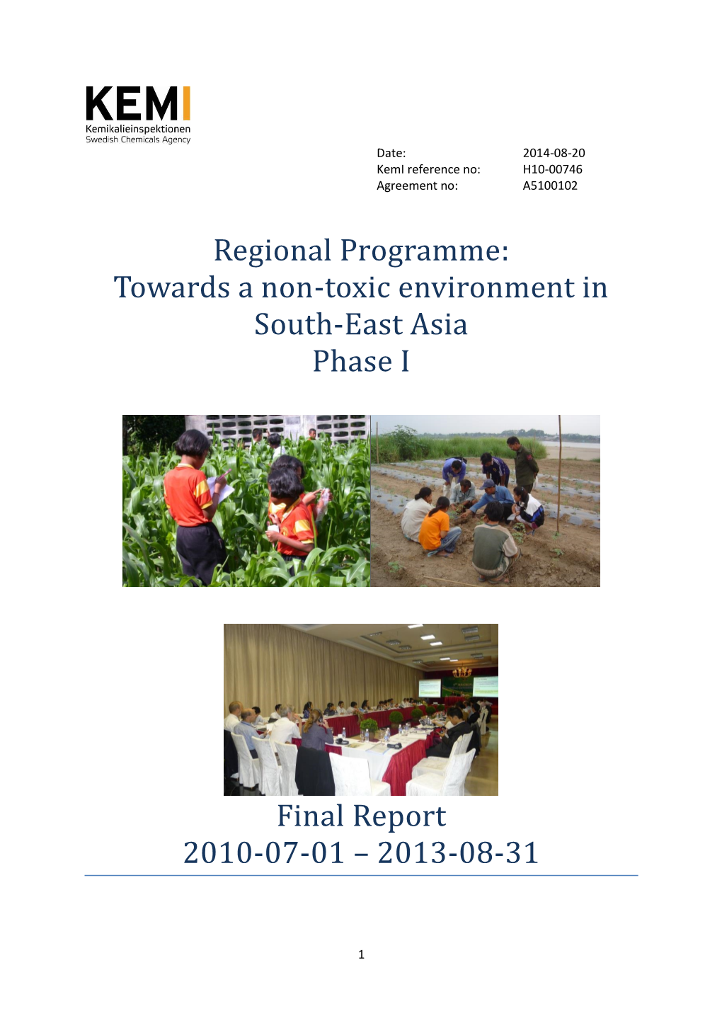 Final Report 2010-2013: Towards a Non-Toxic South-East Asia, Phase I