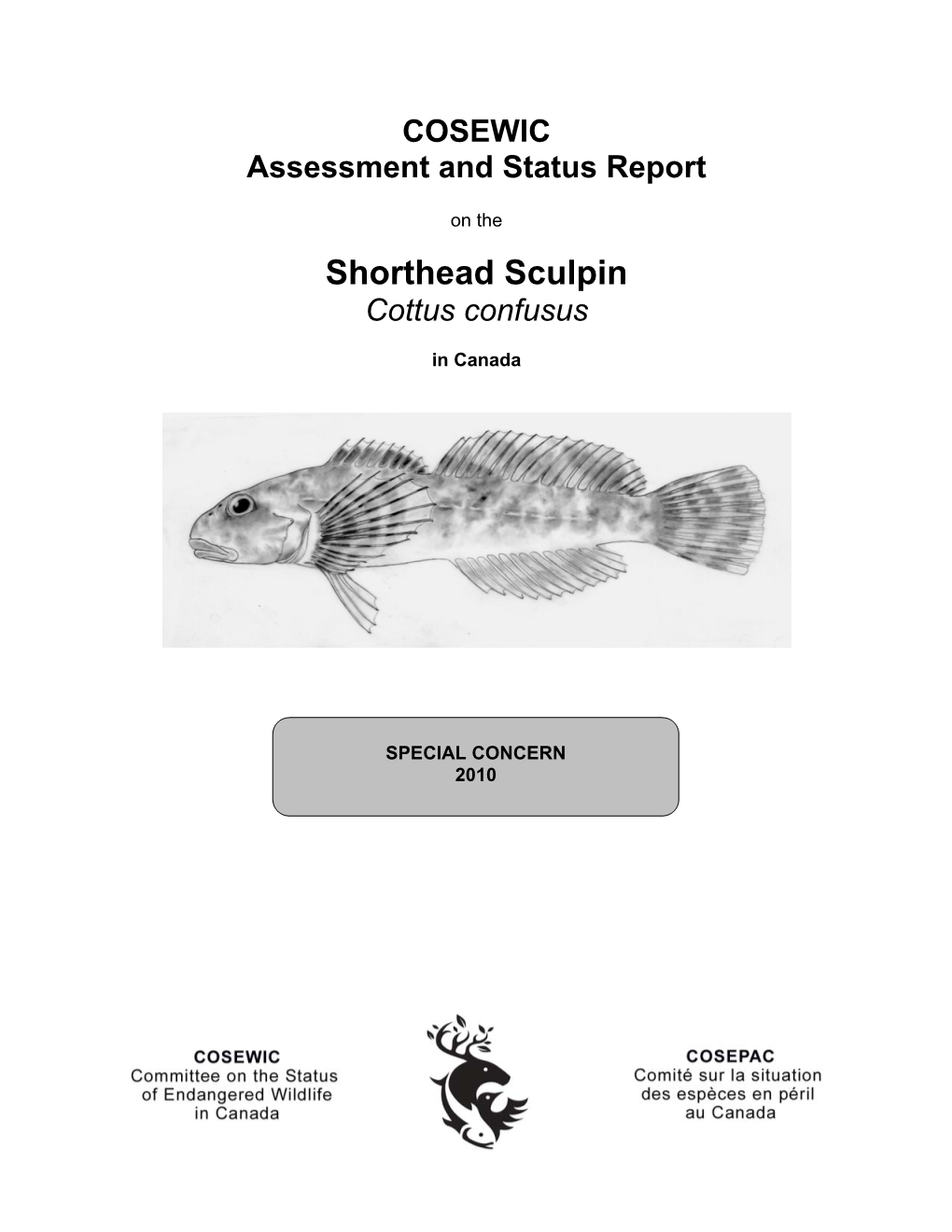 Shorthead Sculpin (Cottus Confusus) Is a Small, Freshwater Sculpin (Cottidae)