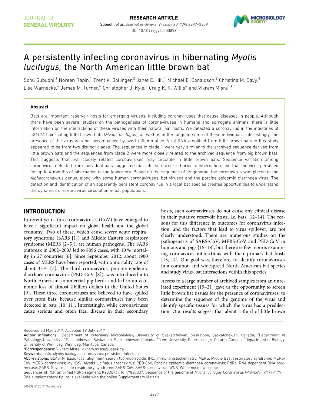 A Persistently Infecting Coronavirus in Hibernating Myotis Lucifugus, the North American Little Brown Bat