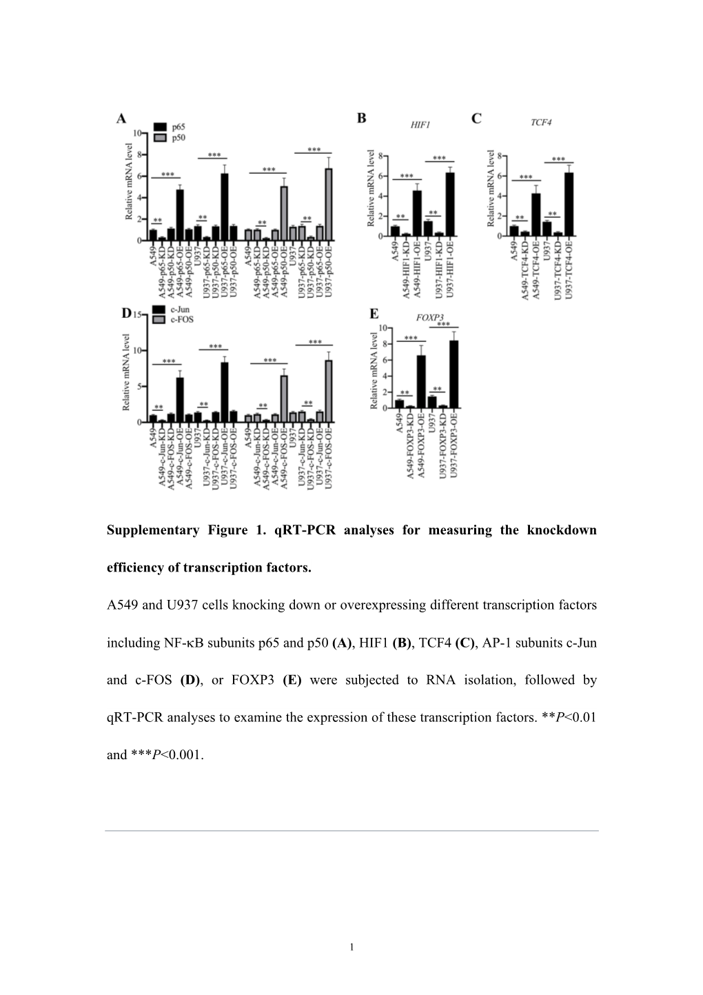 Supplementary Figure 1. Qrt-PCR Analyses for Measuring the Knockdown Efficiency of Transcription Factors. A549 and U937 Cells Kn