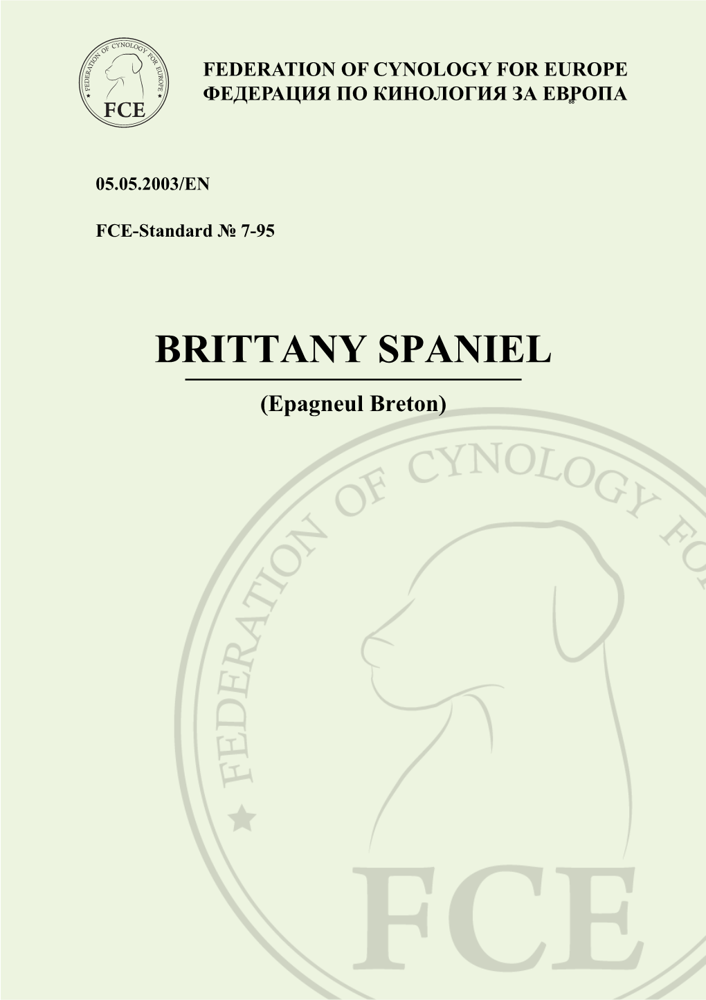 BRITTANY SPANIEL (Epagneul Breton) 2