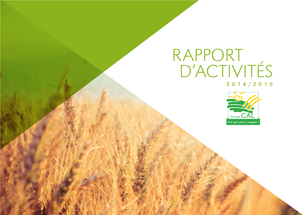 Rapport D'activités