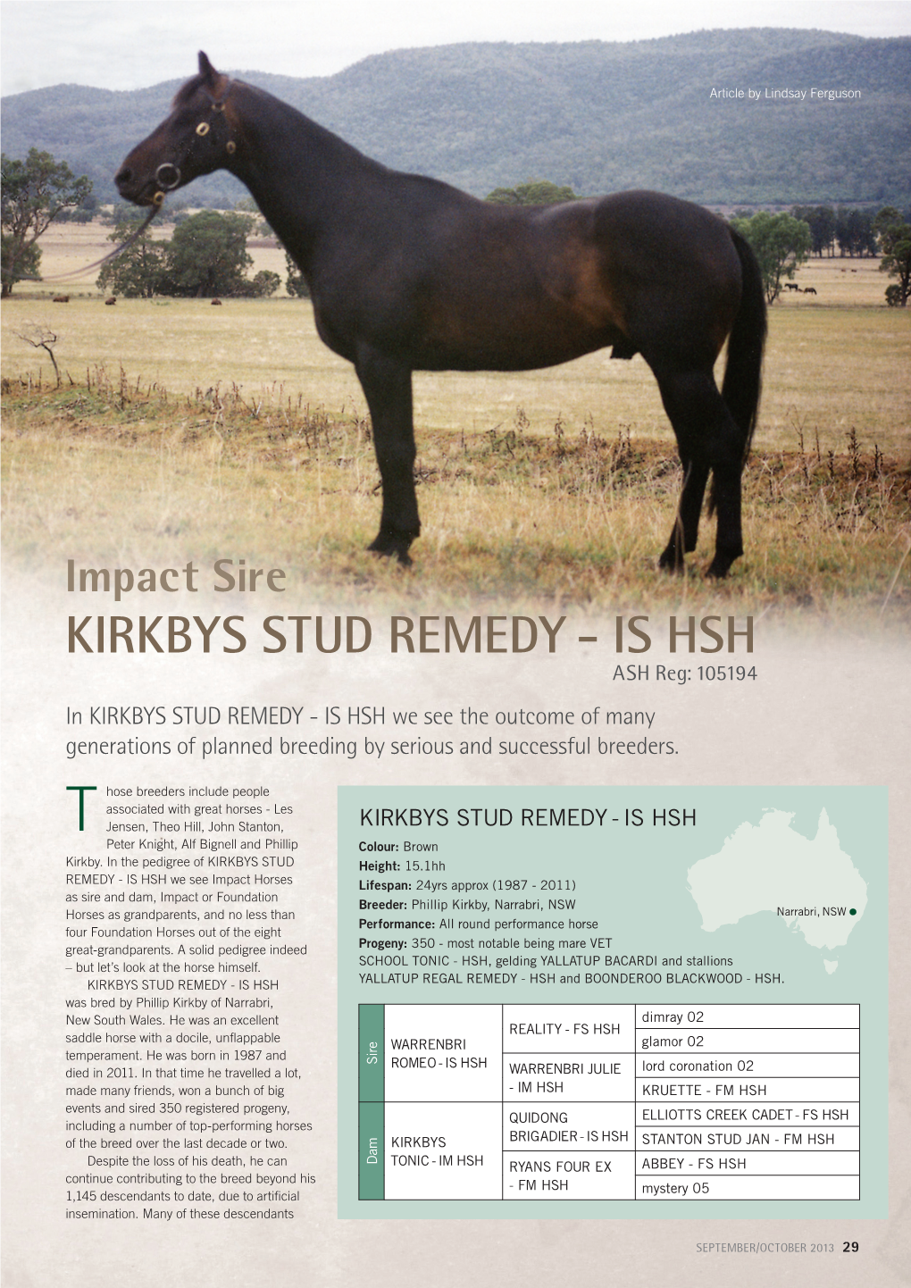 Kirkbys Stud Remedy