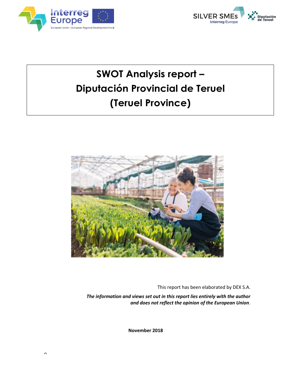 SWOT Analysis Report – Diputación Provincial De Teruel (Teruel Province)