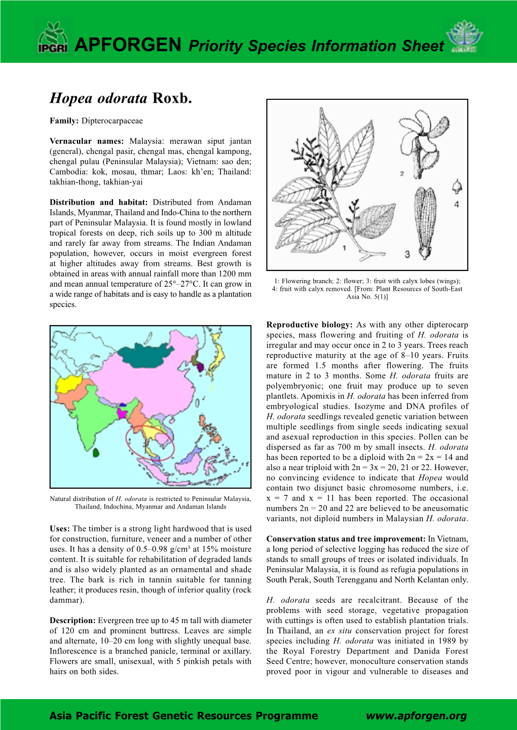 Hopea Odorata Roxb. APFORGEN Priority Species Information Sheet
