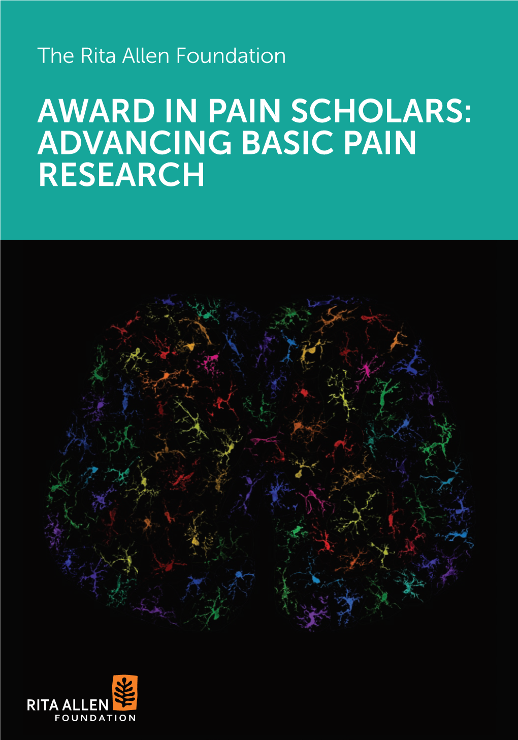 Advancing Basic Pain Research