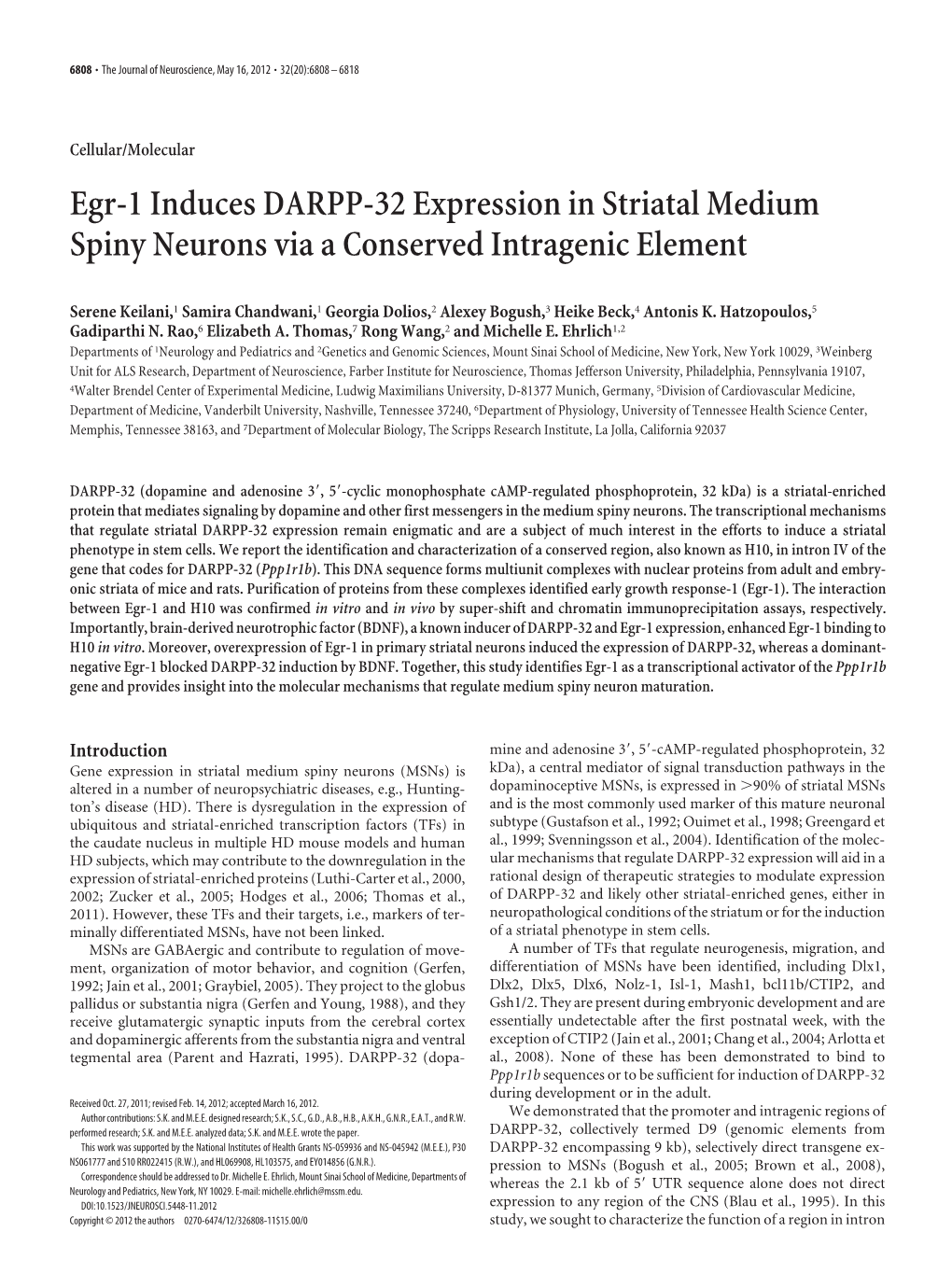 Egr-1 Induces DARPP-32 Expression in Striatal Medium Spiny Neurons Via a Conserved Intragenic Element