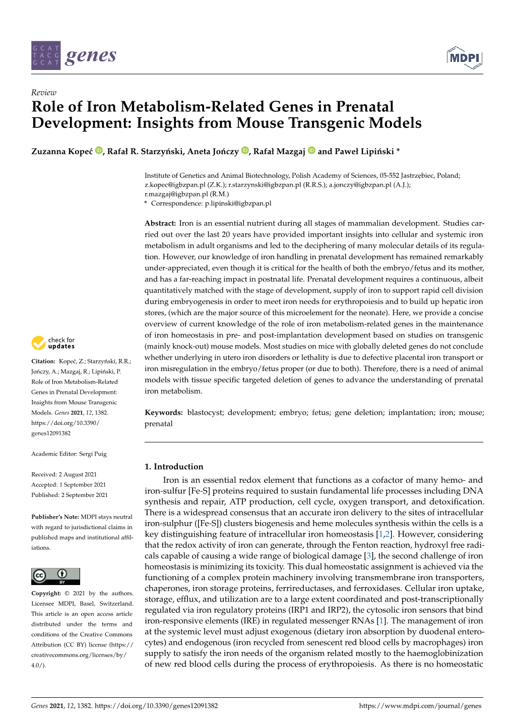 Role of Iron Metabolism-Related Genes in Prenatal Development: Insights from Mouse Transgenic Models