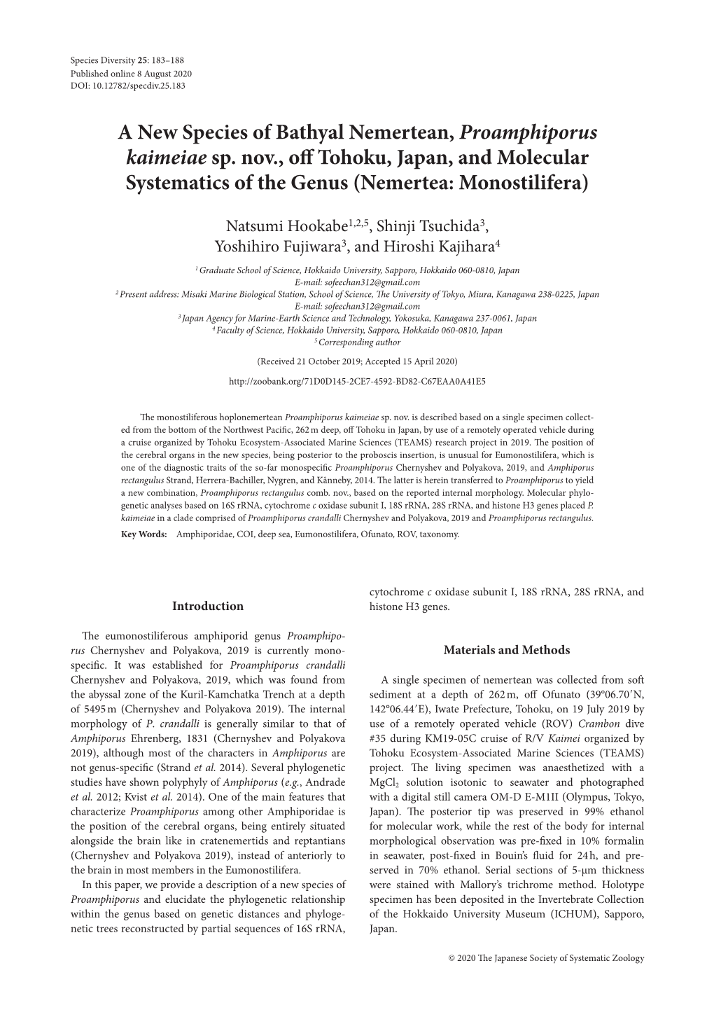 A New Species of Bathyal Nemertean, Proamphiporus Kaimeiae Sp