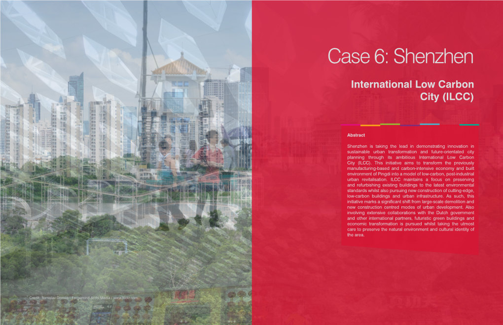 Case 6: Shenzhen