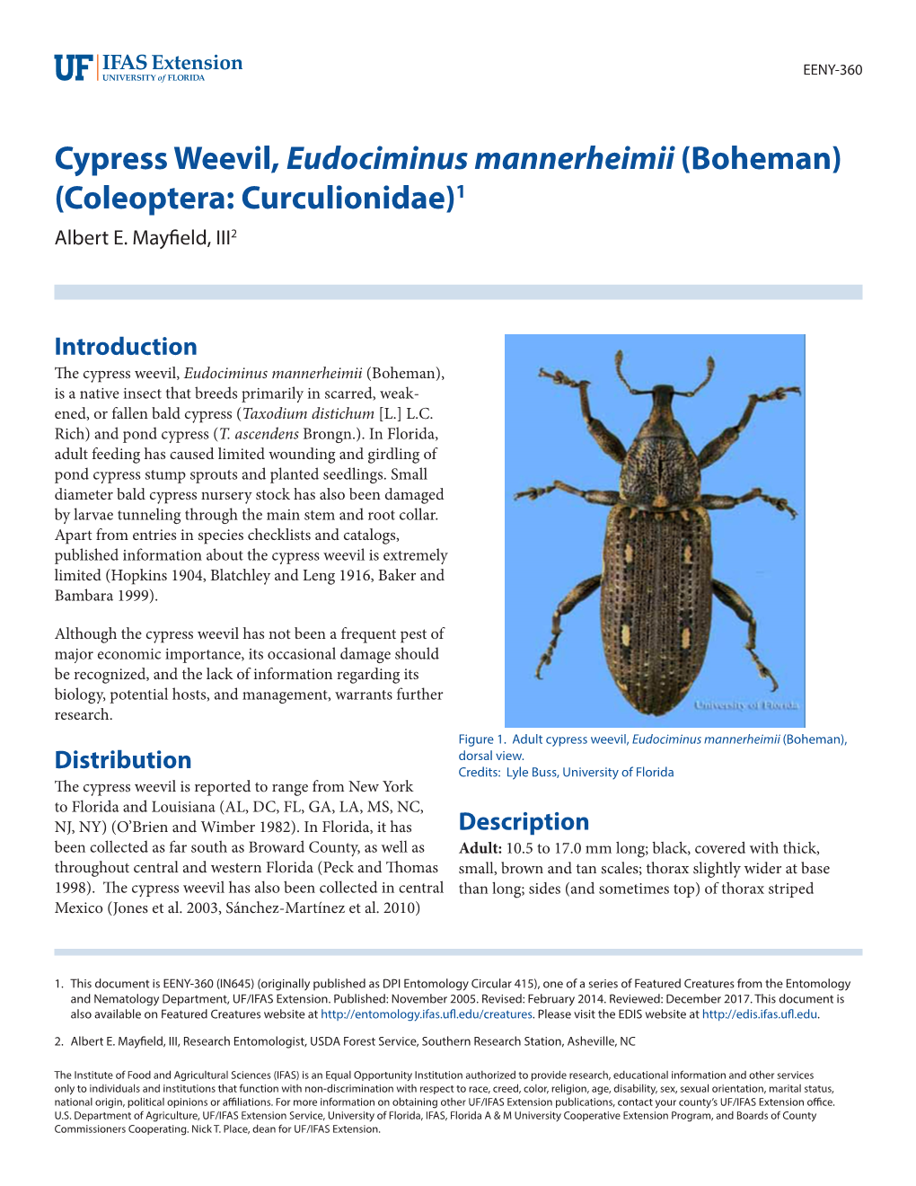 Cypress Weevil, Eudociminus Mannerheimii (Boheman) (Coleoptera: Curculionidae)1 Albert E