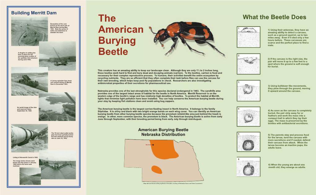 American Burying Beetle Nebraska Distribution