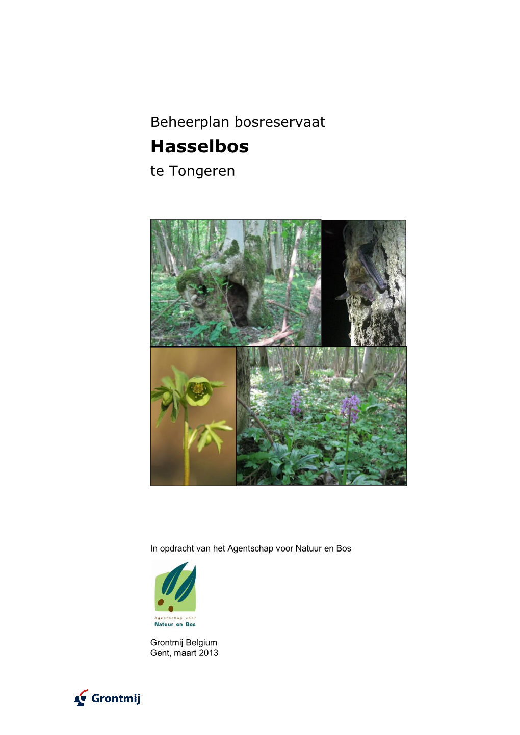 Beheerplan Bosreservaat Hasselbos Te Tongeren