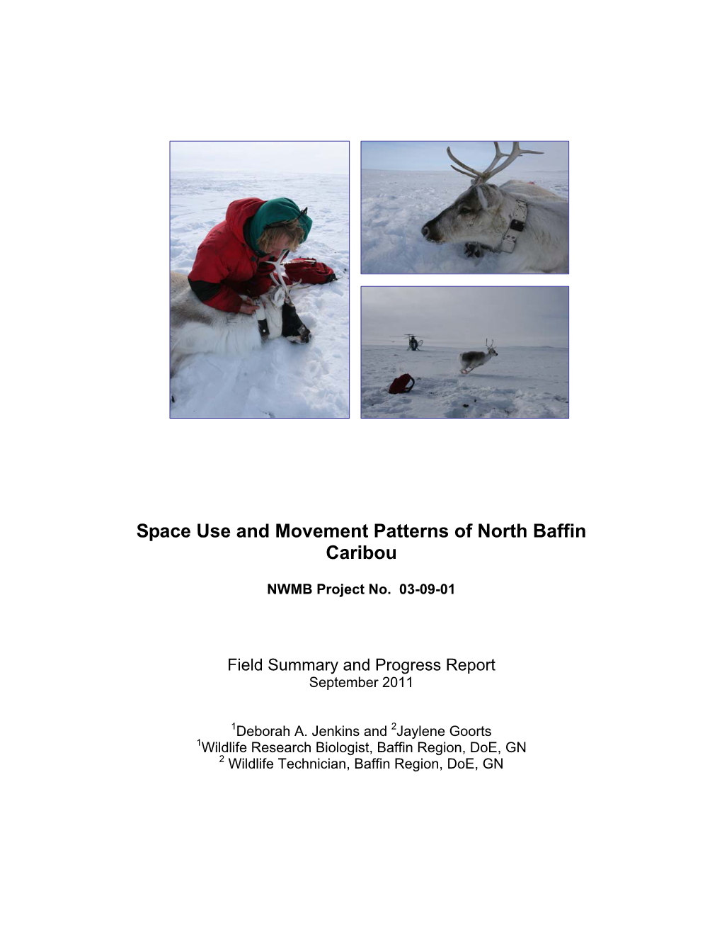 Space Use and Movement Patterns of North Baffin Caribou