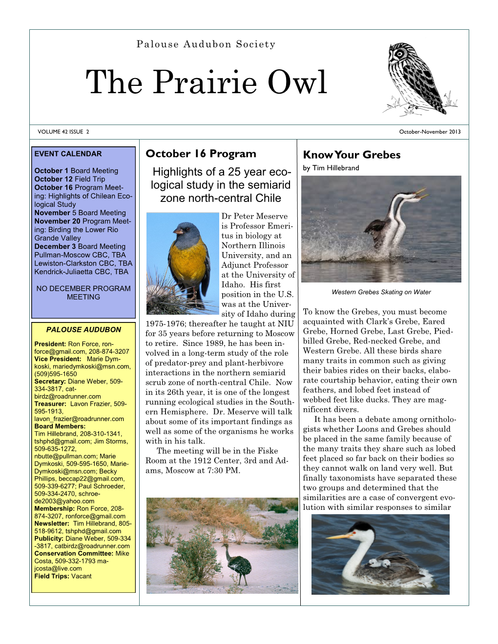 The Prairie Owl