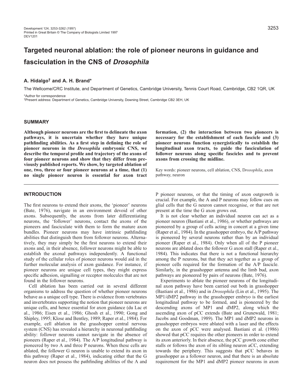 The Role of Pioneer Neurons in Guidance and Fasciculation in the CNS of Drosophila