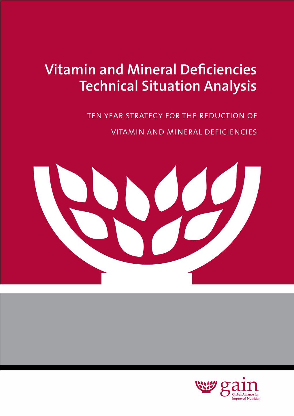 Vitamin and Mineral Deficiencies Technical Situation Analysis