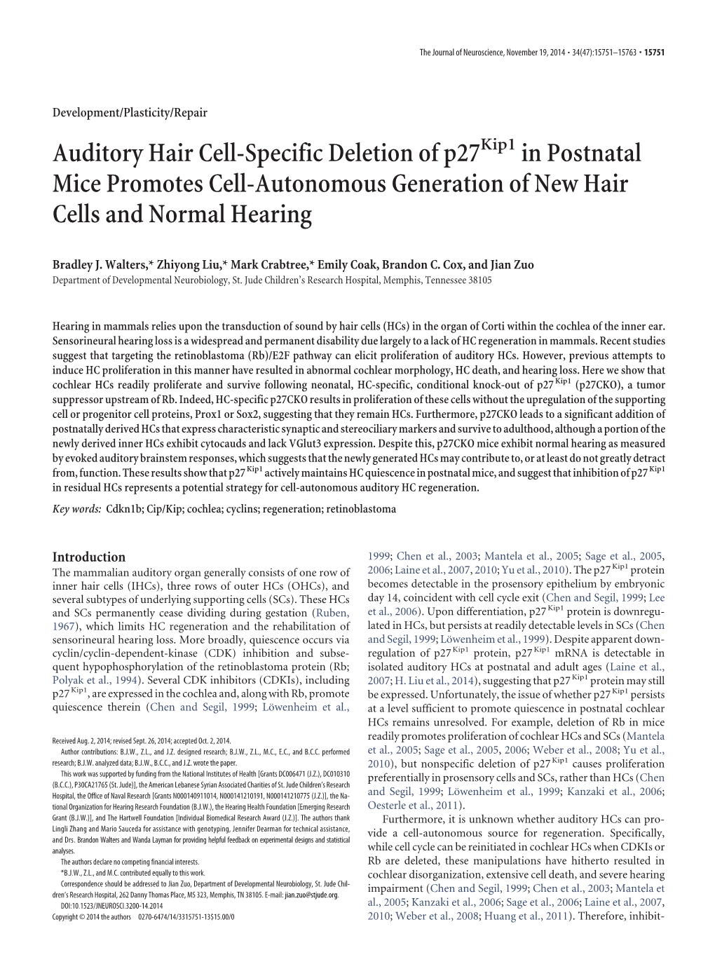 Auditory Hair Cell-Specific Deletion of P27 in Postnatal Mice Promotes