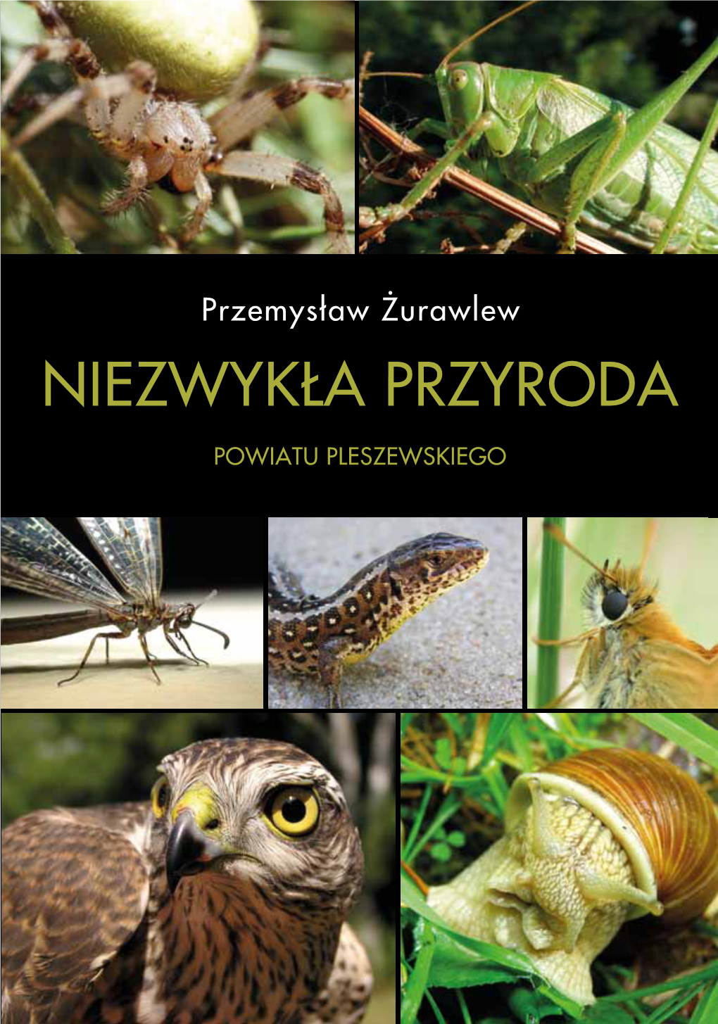 Niezwykła Przyroda