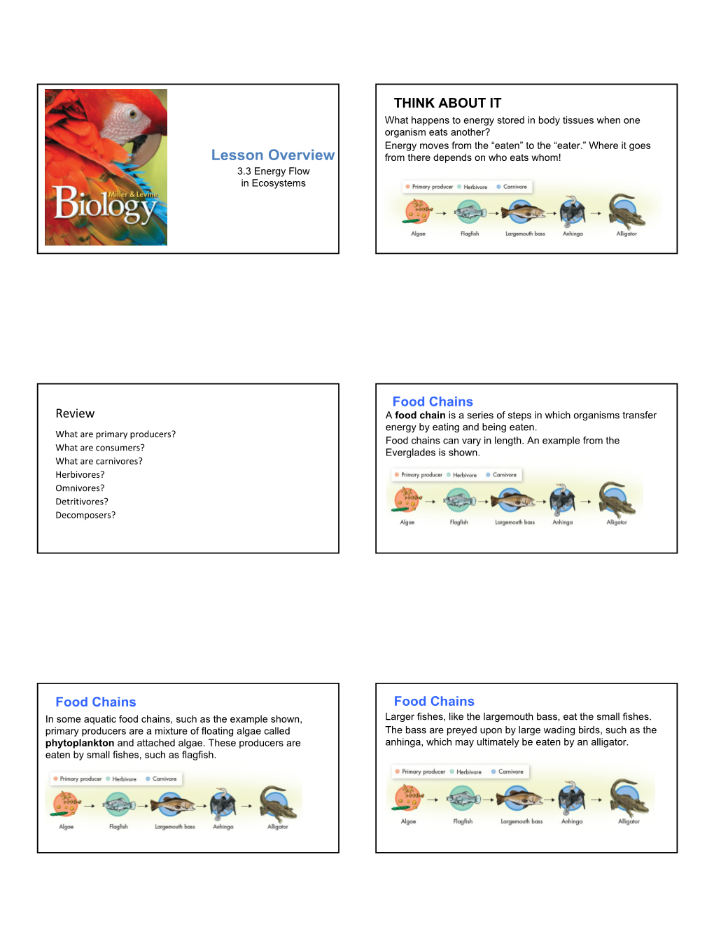 Lesson Overview from There Depends on Who Eats Whom! 3.3 Energy Flow in Ecosystems