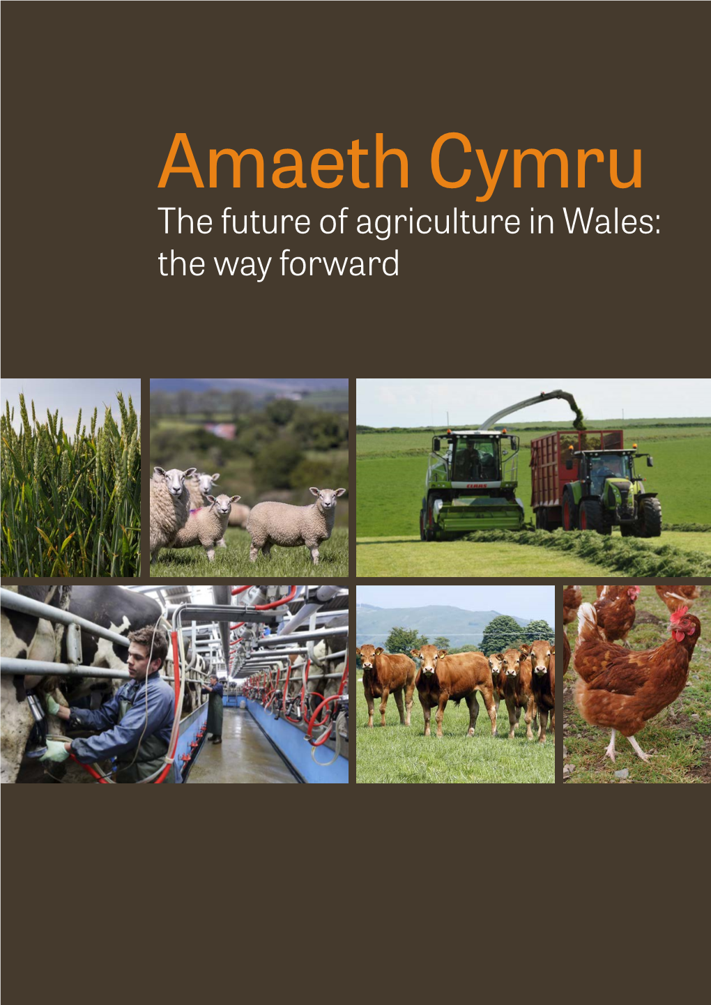 Amaeth Cymru the Future of Agriculture in Wales: the Way Forward