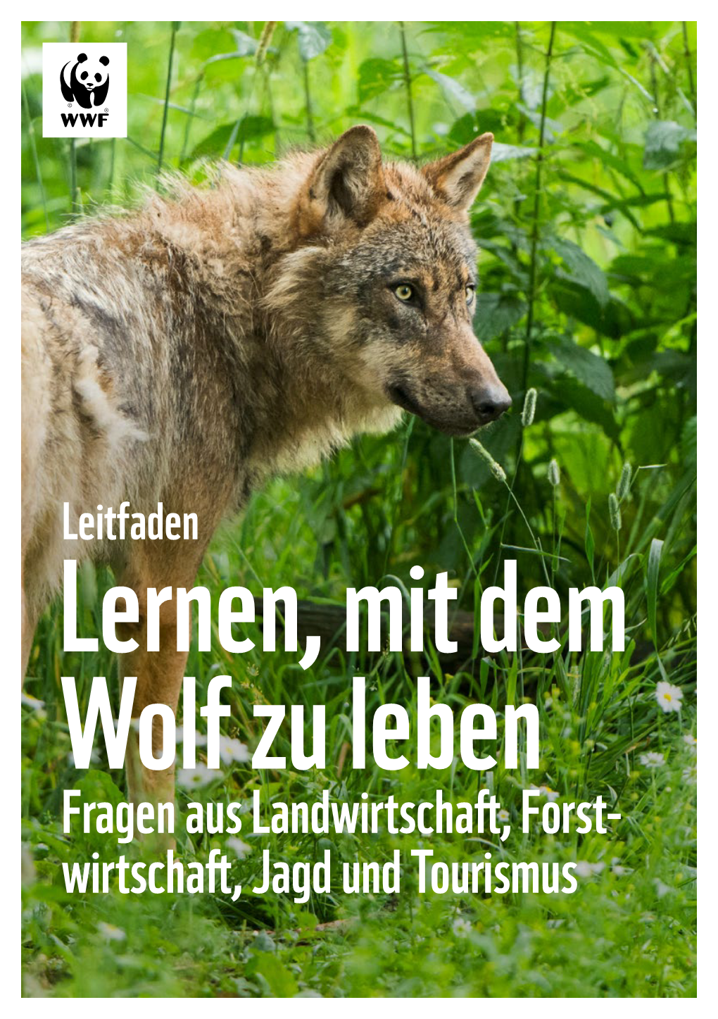 Lernen Mit Dem Wolf Zu Leben